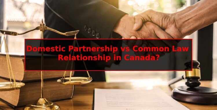 Domestic Partnership vs Common Law Relationship